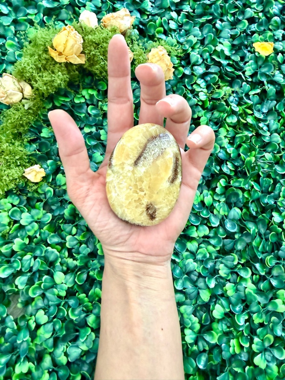 Septarian Palm Stone – Grounding & Ancient Earth Energy